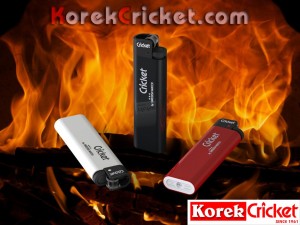 Korek Cricket Indonesia