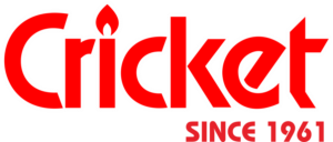 Cricket 3